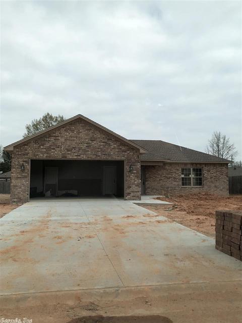 20 Lilly Ann Cir, Ward, AR 72176 photo 1