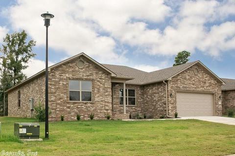 27 Sierra Dr, Austin, AR 72007 photo 3