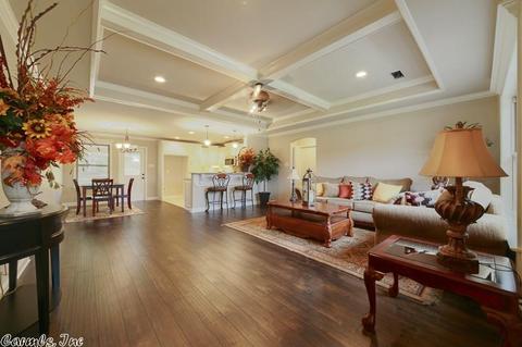 27 Sierra Dr, Austin, AR 72007 photo 6