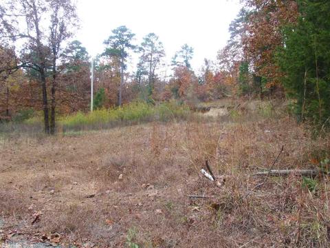 138 Settlers Ln, Mena, AR 71953 photo 23