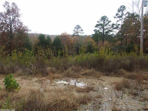 138 Settlers Ln, Mena, AR 71953 photo 25