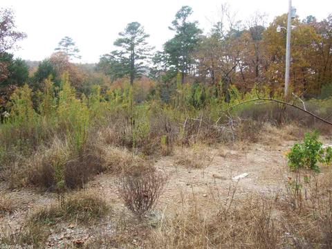 138 Settlers Ln, Mena, AR 71953 photo 24