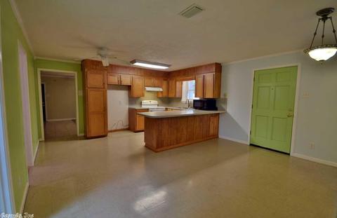 24 E Skyline Dr, Greenbrier, AR 72058 photo 13
