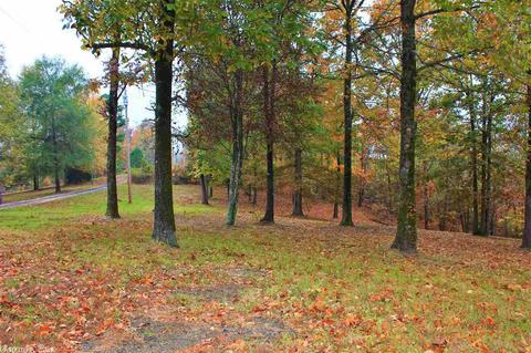 212 Cherokee Dr, Donaldson, AR 71941 photo 36