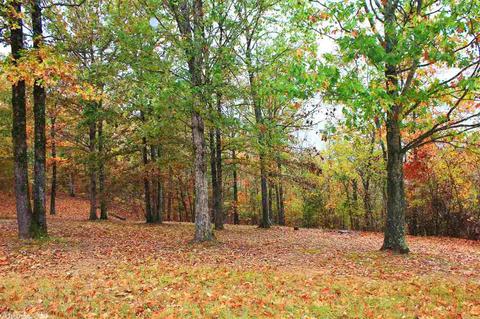 212 Cherokee Dr, Donaldson, AR 71941 photo 35