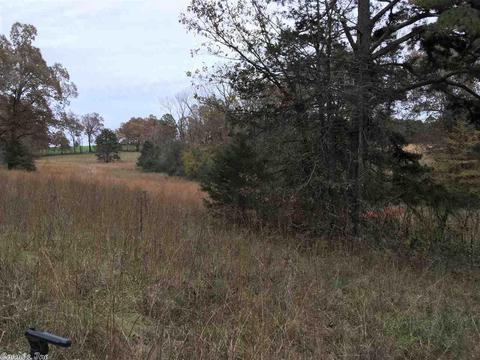2559 E Main St, Melbourne, AR 72556 photo 8