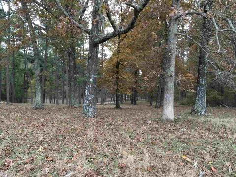 2559 E Main St, Melbourne, AR 72556 photo 12