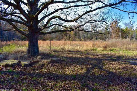 738 Rex Rd, Clinton, AR 72031 photo 9