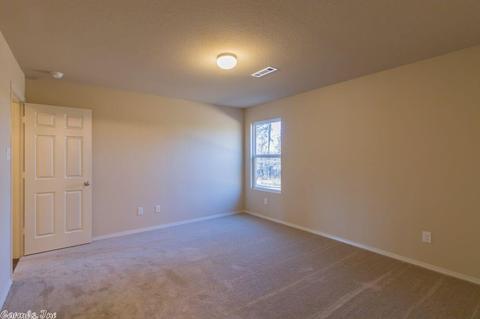3048 Sage Grass Ln, Alexander, AR 72002 photo 11