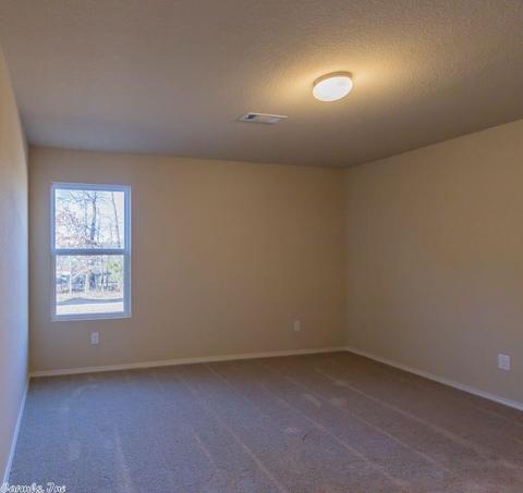 3048 Sage Grass Ln, Alexander, AR 72002 photo 10
