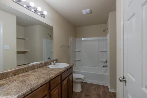 3048 Sage Grass Ln, Alexander, AR 72002 photo 12