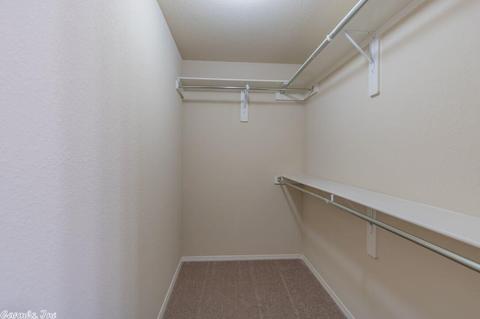 3048 Sage Grass Ln, Alexander, AR 72002 photo 15