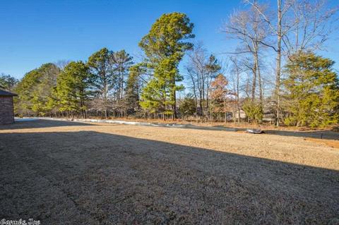 3048 Sage Grass Ln, Alexander, AR 72002 photo 26