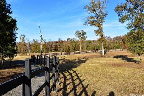 11608 Tadpole Rd, Cabot, AR 72023 photo 3