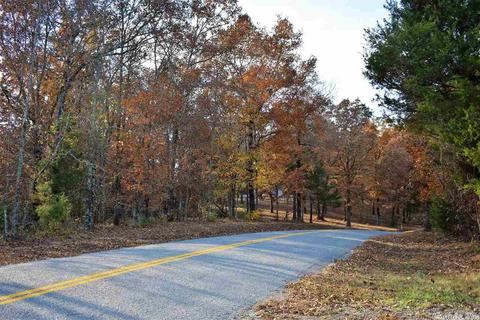 11608 Tadpole Rd, Cabot, AR 72023 photo 31