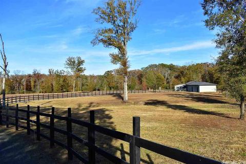 11608 Tadpole Rd, Cabot, AR 72023 photo 2