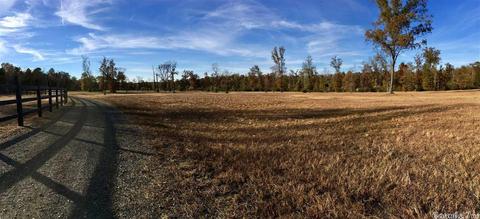 11608 Tadpole Rd, Cabot, AR 72023 photo 27