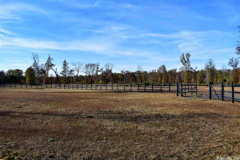 11608 Tadpole Rd, Cabot, AR 72023 photo 7