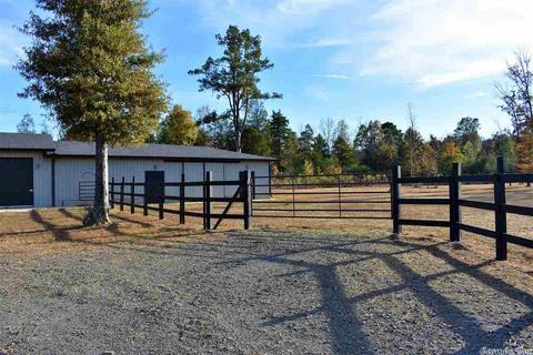 11608 Tadpole Rd, Cabot, AR 72023 photo 12