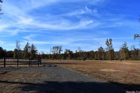 11608 Tadpole Rd, Cabot, AR 72023 photo 28