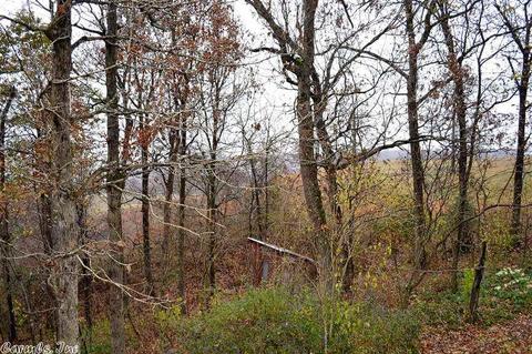 355 Cougar Ln, Marshall, AR 72650 photo 40