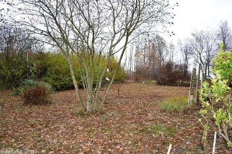 355 Cougar Ln, Marshall, AR 72650 photo 38