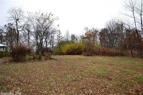 355 Cougar Ln, Marshall, AR 72650 photo 8
