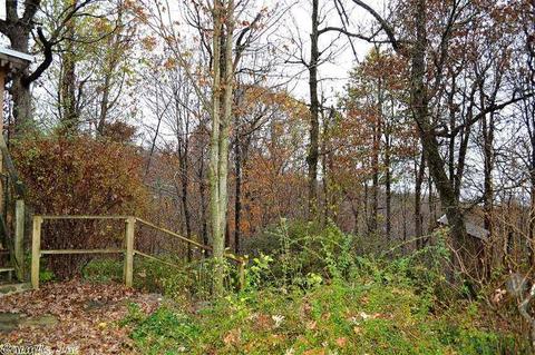 355 Cougar Ln, Marshall, AR 72650 photo 12
