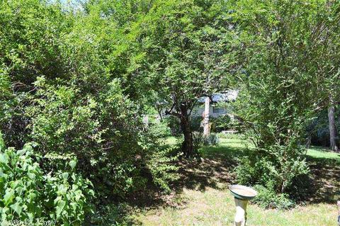 355 Cougar Ln, Marshall, AR 72650 photo 6