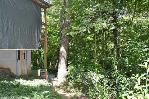 355 Cougar Ln, Marshall, AR 72650 photo 34