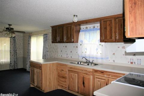 1169 Cedar Hls, Mountain View, AR 72560 photo 4