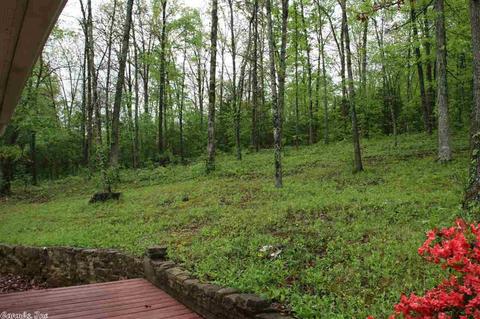 1169 Cedar Hls, Mountain View, AR 72560 photo 13