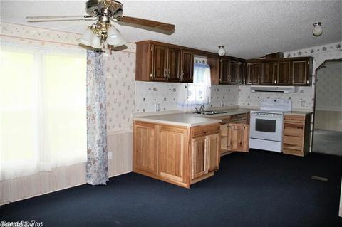 1169 Cedar Hls, Mountain View, AR 72560 photo 3