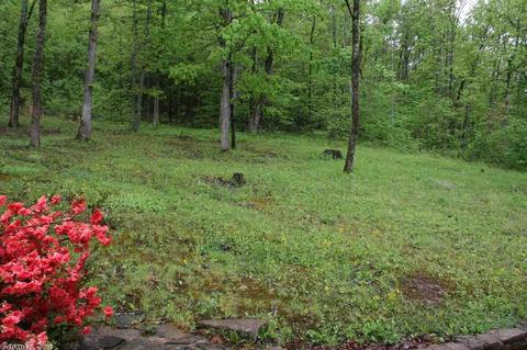 1169 Cedar Hls, Mountain View, AR 72560 photo 15