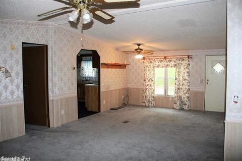 1169 Cedar Hls, Mountain View, AR 72560 photo 7
