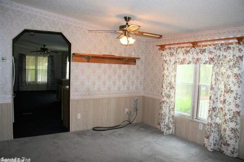 1169 Cedar Hls, Mountain View, AR 72560 photo 8