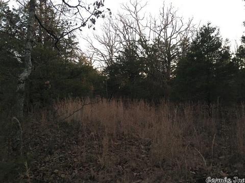 153 Smith Rd, Searcy, AR 72143 photo 24