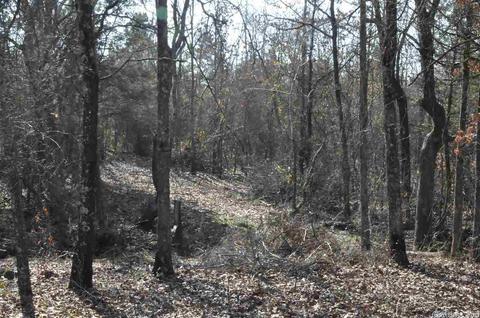 153 Smith Rd, Searcy, AR 72143 photo 3