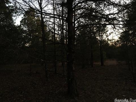 153 Smith Rd, Searcy, AR 72143 photo 27