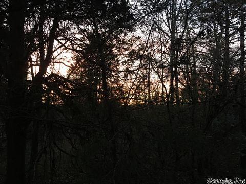 153 Smith Rd, Searcy, AR 72143 photo 11
