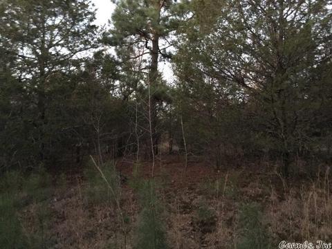 153 Smith Rd, Searcy, AR 72143 photo 37