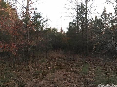 153 Smith Rd, Searcy, AR 72143 photo 10