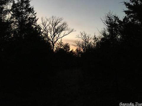 153 Smith Rd, Searcy, AR 72143 photo 38