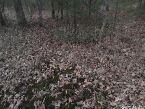 153 Smith Rd, Searcy, AR 72143 photo 28