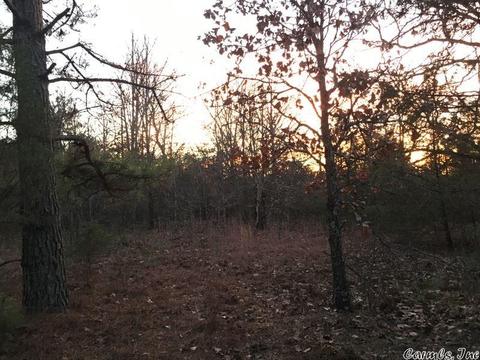 153 Smith Rd, Searcy, AR 72143 photo 9