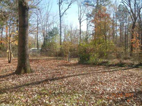 7917 Bert Marsh Rd, Mabelvale, AR 72103 photo 13