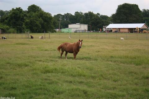 12205 Spectrum Rd, Scott, AR 72142 photo 19