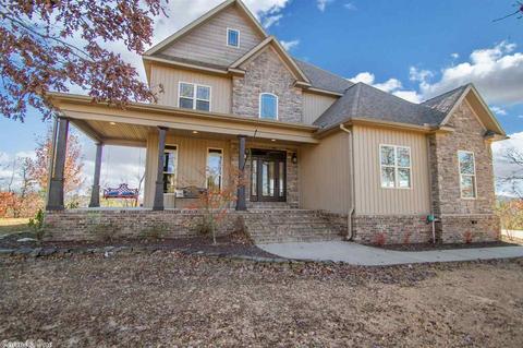 39 Bald Eagle Dr, Paron, AR 72122 photo 1
