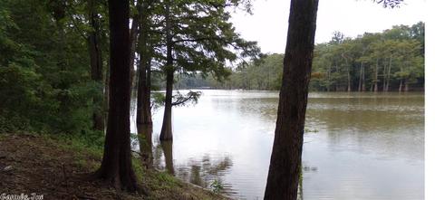 10938 Smith Rd, Des Arc, AR 72040 photo 7