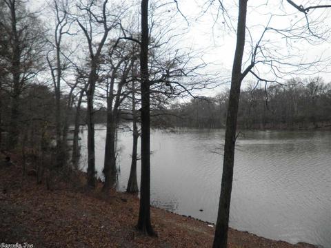 10938 Smith Rd, Des Arc, AR 72040 photo 11